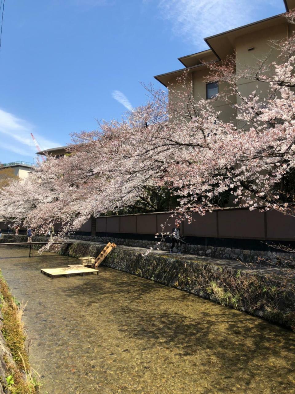 Rinn Heian Shirakawa 3*